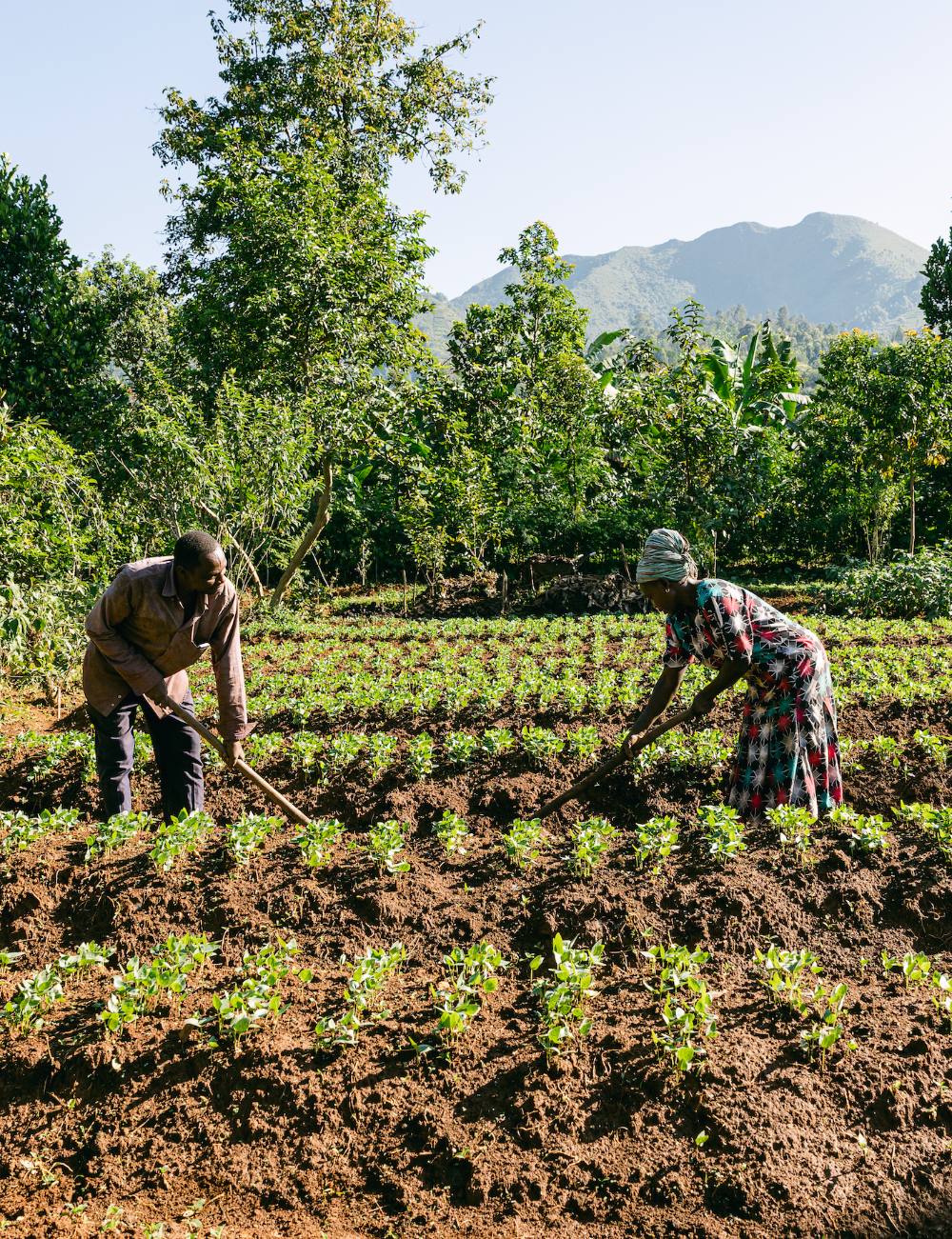 Reforestation partner site