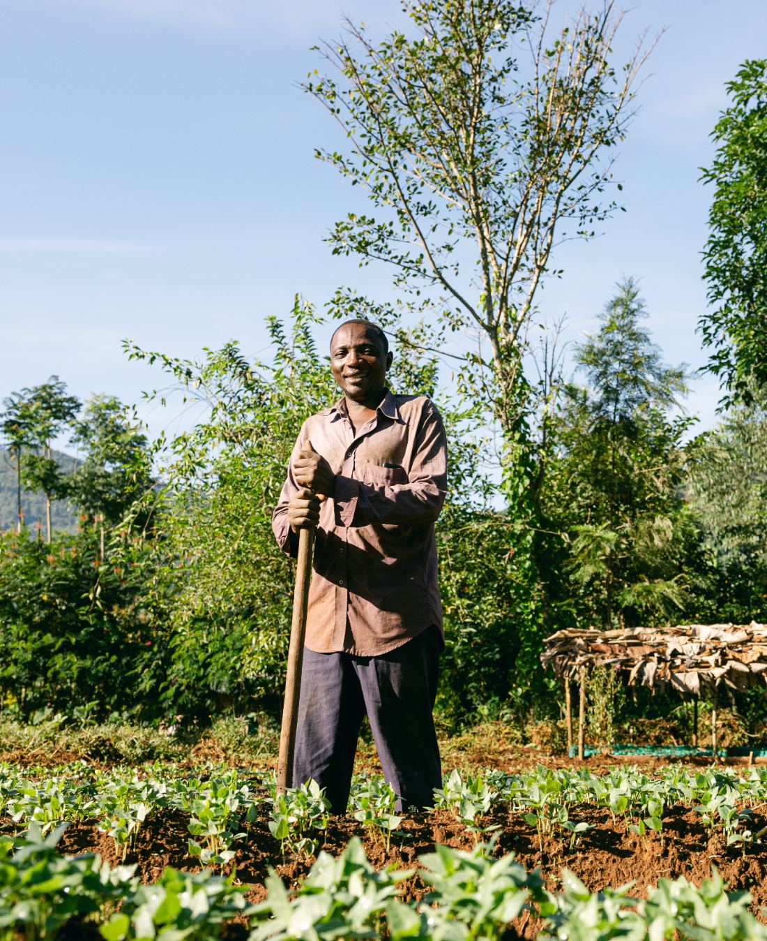 Farmer standing in his field with a young tree behind him
